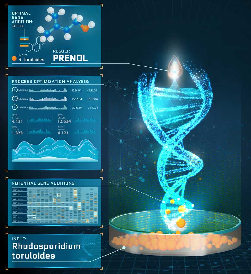 Image of Graphic illustration of retrosynthetic analysis