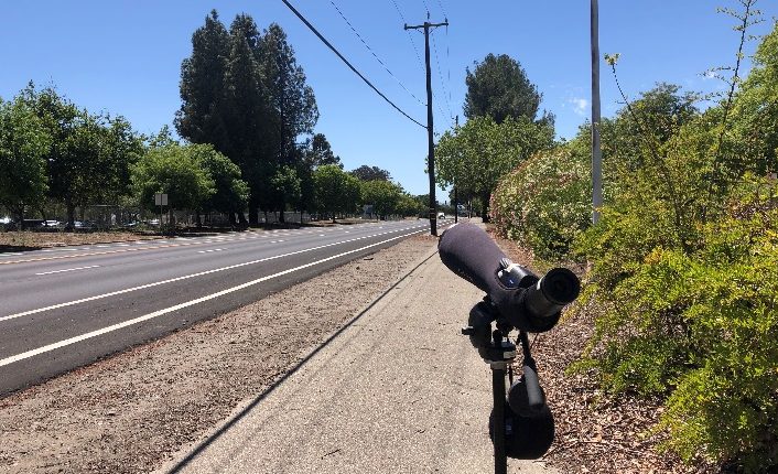 EYE ON THE SKY — Condor Country Consulting, contracted by Sandia to observe the nesting Swainson’s hawks and make sure they were not disturbed, set up an observation post on East Street. (Photo courtesy of Condor Country Consulting)
