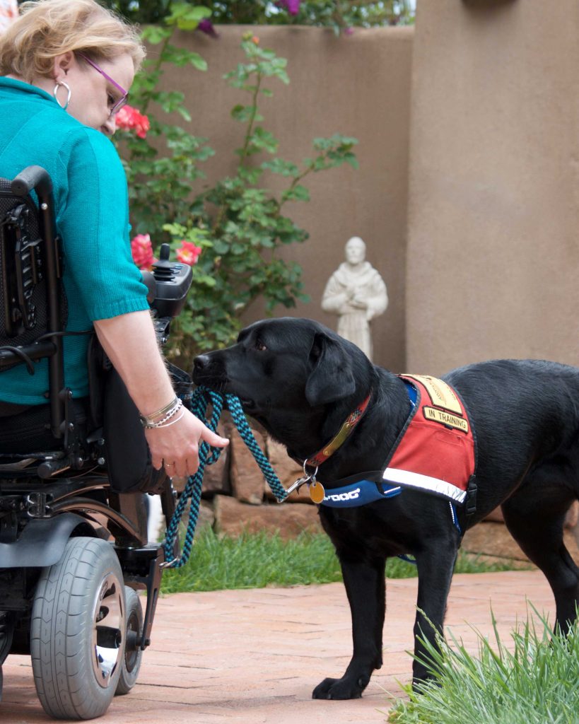 HELPING HAND — Service dogs can help with tasks like picking up objects off the floor to help make their owner’s life a little easier. (Photo courtesy of Assistance Dogs of the West)