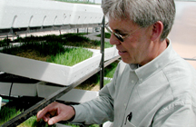 researcher testing on small trays
