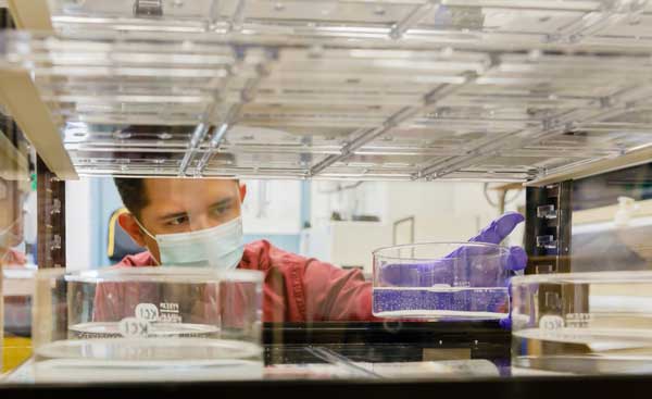 COVID RESPONSE WRANGLER — Sandia mechanical engineer Michael Omana was named Most Promising Scientist-Master’s Degree by Great Minds in STEM at the Hispanic Engineering National Achievement Awards Conference. (Photo by Bret Latter)
