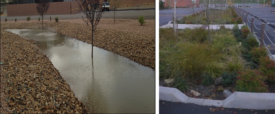 Image of Stormwater detention basins and curb cuts in parking lot medians