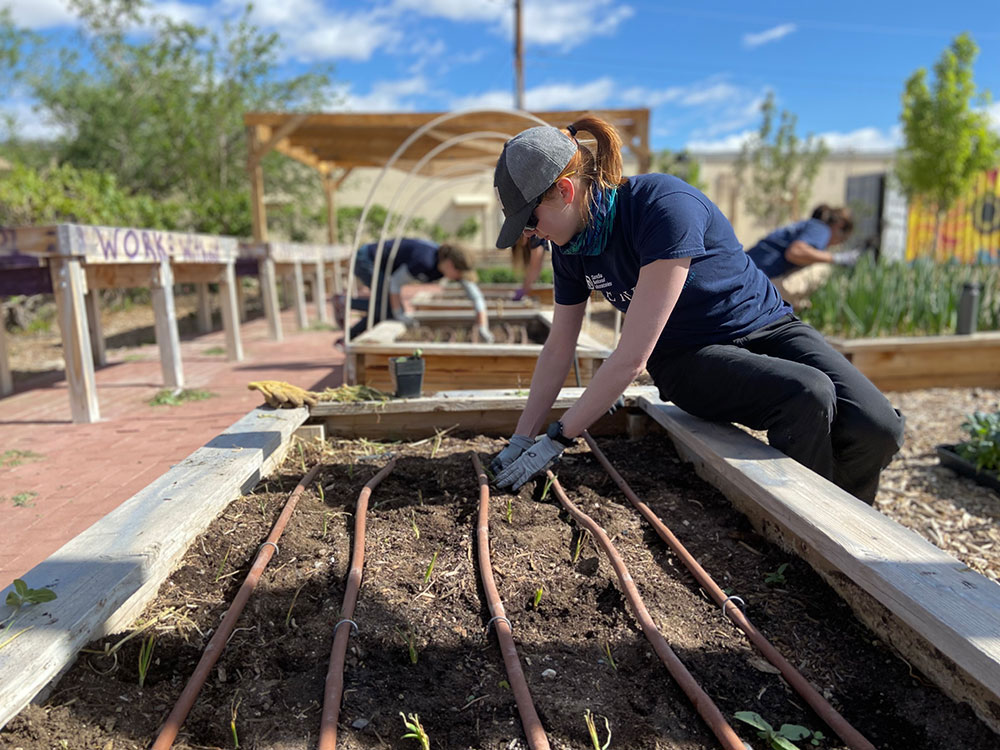 Image of Sandia volunteers at the Rio Grande Food Project’s urban garden