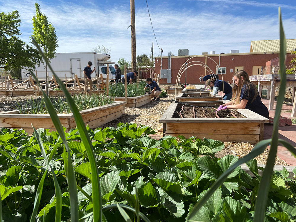 Image of Sandia volunteers at the Rio Grande Food Project’s urban garden