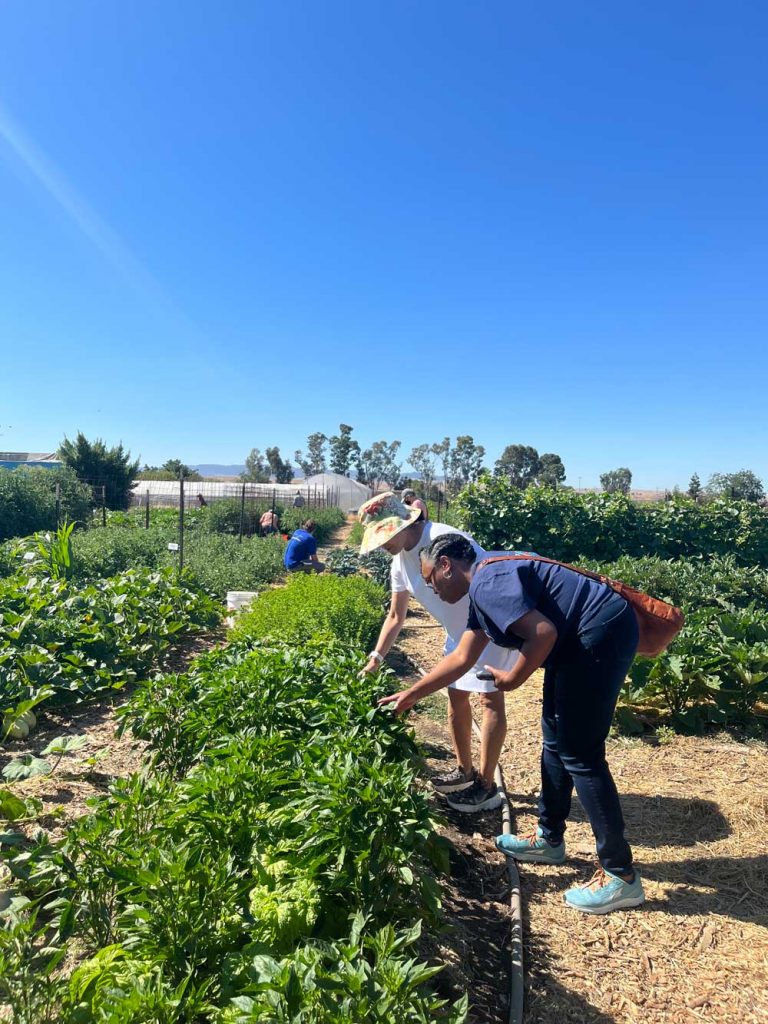 FOOD FOR THOUGHT — Fertile GroundWorks President Teresa Win, left, shows Sandia community relations specialist Michelle Walker-Wade some of the volunteer-planted crops that are now ready for harvest.