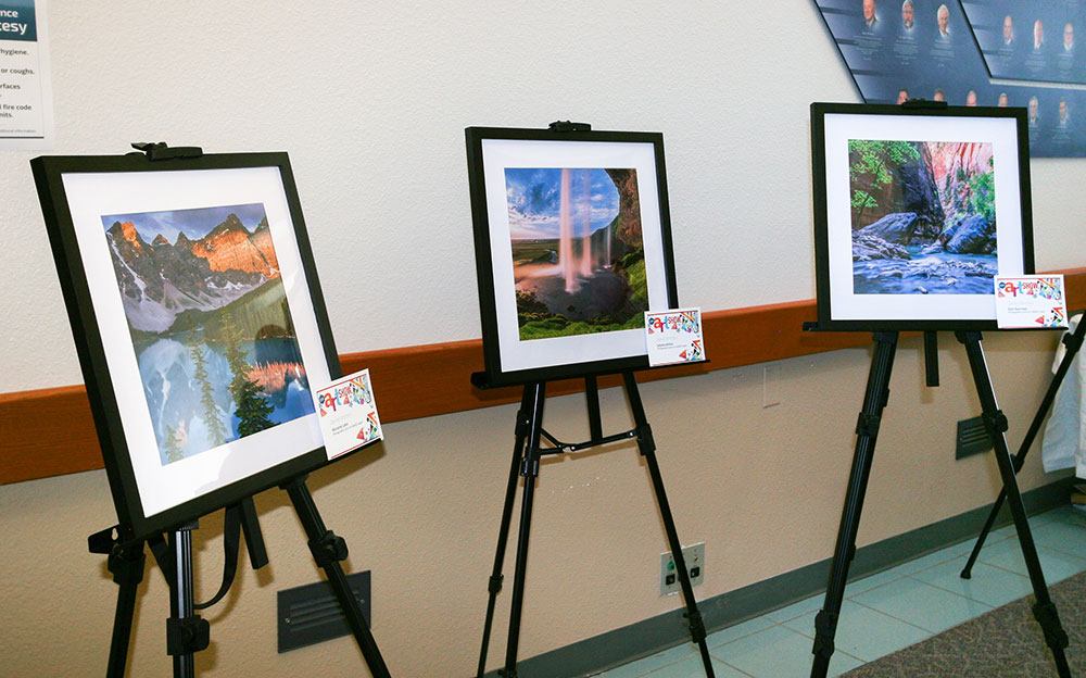 HIDDEN TALENTS — The art show featured prints by aeronautical engineer Daniel Whitten.