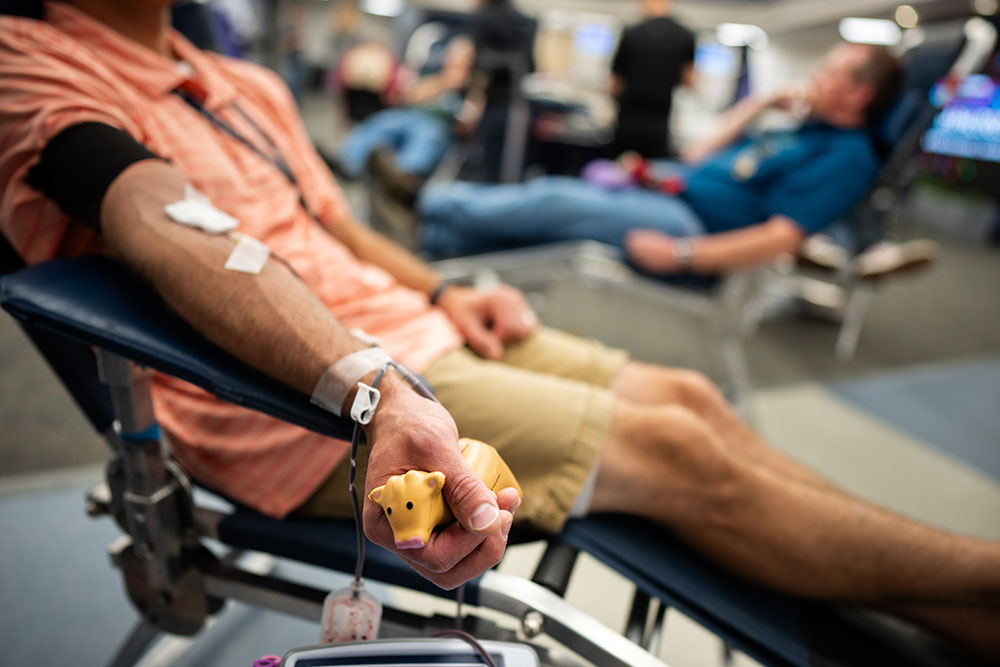 EVERY UNIT COUNTS — Sandia employee Andrew Harvey squeezes a cow toy to encourage blood flow during last year’s blood drive. Last year, Sandians donated 145 pints of blood during the drive. This year, Sandians can donate June 11 or 24 at Steve Schiff Auditorium. (Photo by Craig Fritz)
