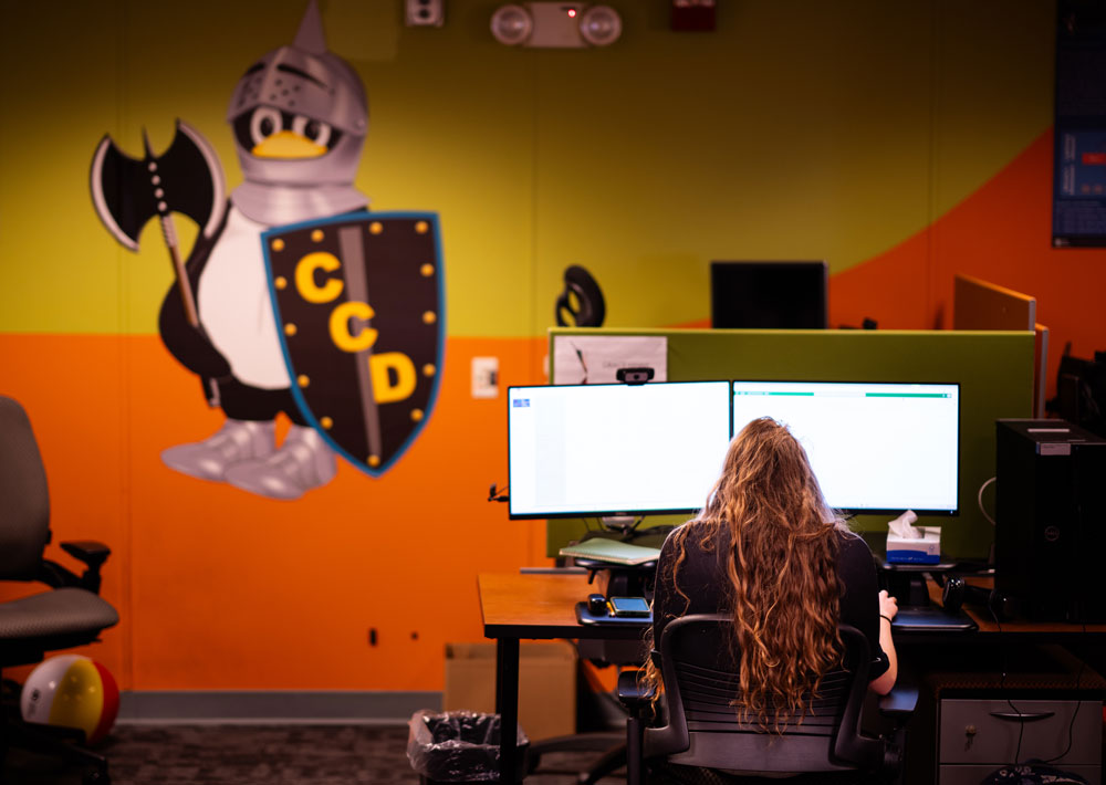 NETWORKING CENTRAL — Sandia intern Grace Kenny works in the Center for Cyber Defenders office. The colorful, collaborative workspace includes the center’s own take on the Linux penguin. (Photo by Craig Fritz)