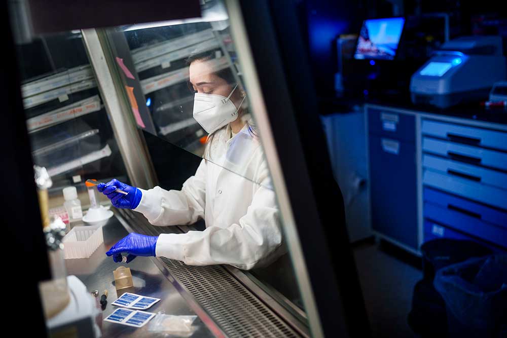 STRONG PARTNERSHIPS — Sandia’s Brittany Humphrey prepares microneedles in a fume hood. Sandia is working with several partners to expand the use of microneedles. (Photo by Craig Fritz)