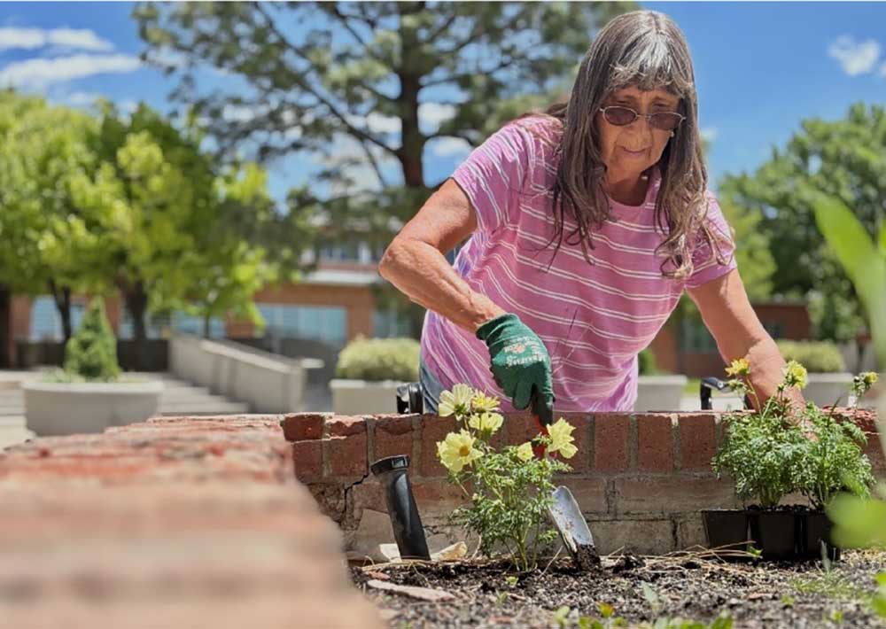 SPACE TO RESET — Gardener Deborah Rickert, member of Sandia’s Grounds and Roads crew, plants flowers inside a flower bed outside a building in Tech Area I in Albuquerque. Grounds and Roads provides all season, year-round maintenance covering more than 30,000 acres of land. It’s a large area to cover and each tech area presents different challenges. In this area, which is a tightly packed urban core, Deborah creates spaces where Sandians can rest and recharge before heading back to world-class research and development. (Photo by James Stewart)