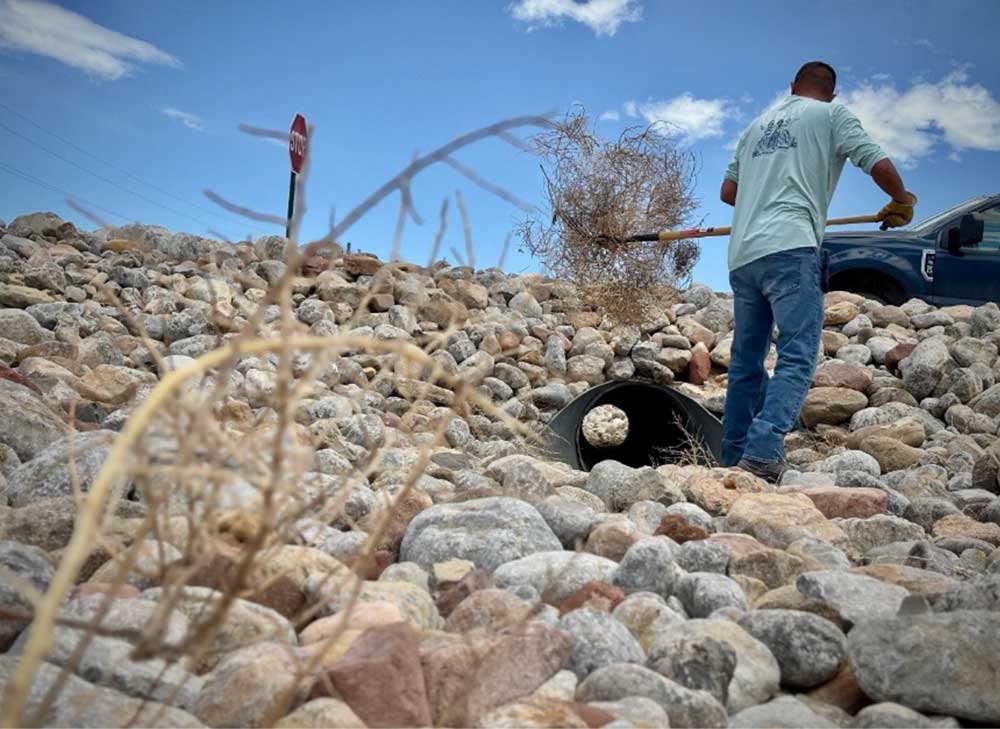 PREVENTING FIRES — Gardener and Grounds and Roads team member Milledge Powell clears tumbleweeds stuck inside a culvert in Tech Area V in Albuquerque. Tumbleweeds are a fire hazard because they pile up next to buildings and ignite very easily. Grounds and Roads constantly clears tumbleweeds around the Labs’ 30,000-acre New Mexico site. It’s critical work that protects Sandia’s buildings, people and national security research. (Photo by James Stewart)