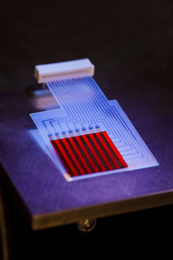 ONE PATCH FITS ALL — The dosimeter patch technology developed by Patrick Doty and Isaac Aviña is a flexible, wearable, disposable way to protect cancer patients, health providers, first responders and service members from toxic radiation exposure. (Photo by Spencer Toy)