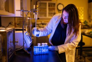 Pore choices: A new twist on gas capture