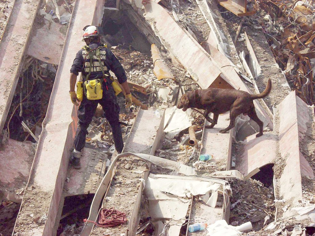 <strong>CAMERA-EQUIPPED</strong> — A search dog and its human teammate explore the rubble of the World Trade Center in New York shortly after the September 11 attacks. The K-9 cameras developed by Sandian Richard Sparks were used around the clock in the search and recovery mission at Ground Zero. (Photo from the Sandia archives)