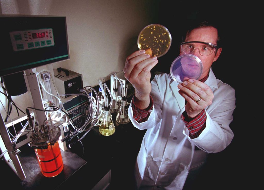 <strong>ANSWER TO ANTHRAX</strong> — In a photo from 1999, researcher Mark Tucker examines two petri dishes, one with a simulant of anthrax, left, and the other treated with the newly developed decon foam. (Photo by Randy Montoya)