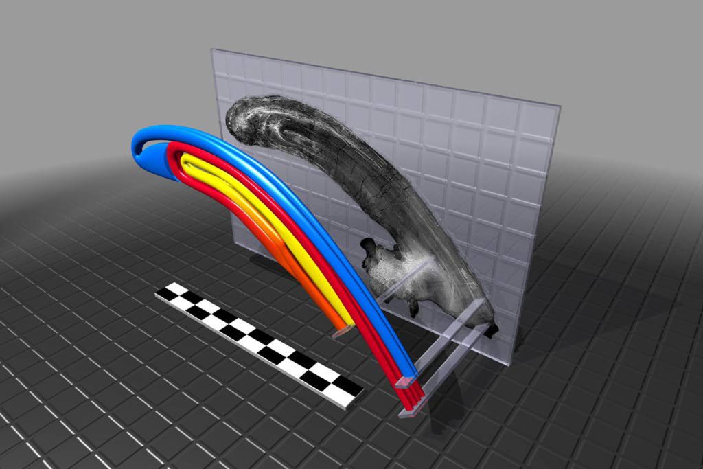 <strong>CREST MODELS</strong> — Computer modeling of the Parasaurolophus crest, foreground, reveals several tubes or air passages that run through it. The crest fossil is in the background. (Photo by Randy Montoya)
