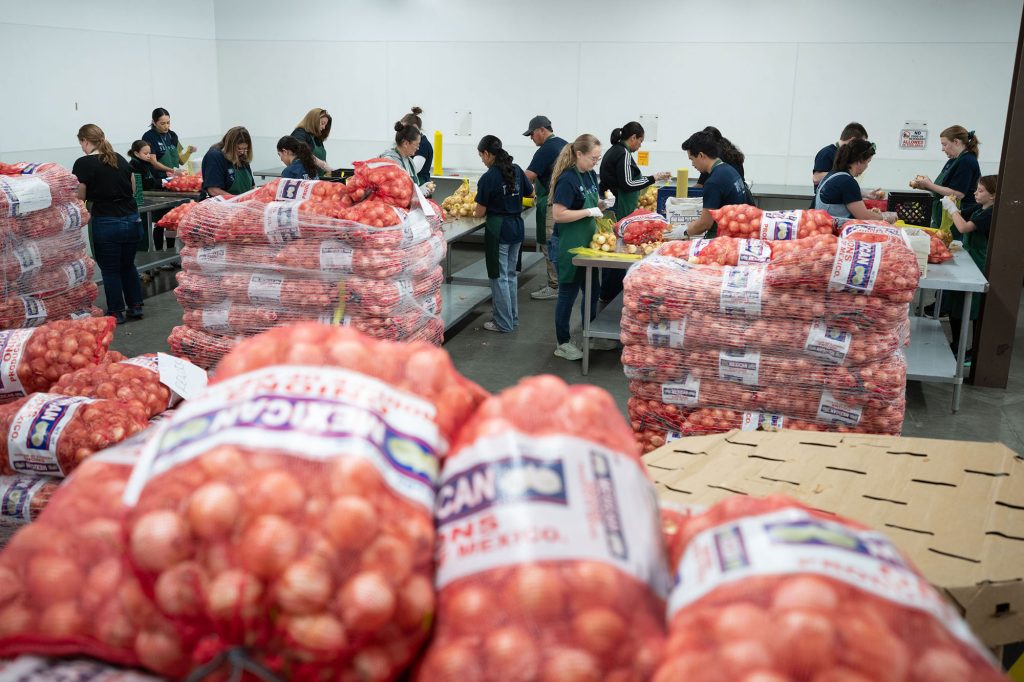 <strong>ONION STACKS </strong>— Sandians sort and pack 50-pound bags of onions during a service project at Roadrunner Food Bank. In April, 50 volunteers from Sandia participated in projects at Roadrunner. Community Involvement mobilized 118 people and 295 volunteer hours across various projects during National Volunteer Month. (Photo by David Lienemann)