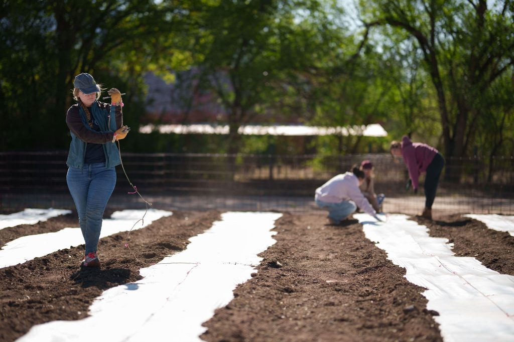 <strong>FIELD PREP </strong>— Computer engineer Maria Primavera prepares fields for planting tomatoes while volunteering with Seed2Need, a nonprofit organization dedicated to reducing hunger by growing fresh fruits and vegetables and donating the produce to local food pantries. (Photo by David Lienemann)