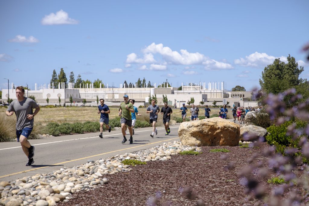 <strong>SANDIA SPRINTERS</strong> — Runners head up Sandia California's Greenville Road entrance during the DOE Mile on May 27. (Photo by Spencer Toy)