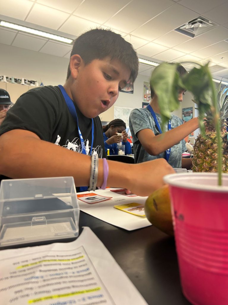 <strong>FUTURE BOTANIST?</strong> — Sixth grader Sebastian Ramirez learns about the germination process at HMTech 2026 with the hopes of growing a genetically modified coconut. (Photo by Kim Quintana)