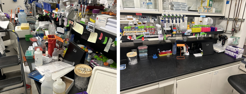 <strong>BENCH STRENGTH</strong> — The bioscience lab, before and after optimization. (Photo by Duane Marcum)