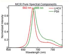 MCR analysis of LHCII and PSII in Chlamydomonas reinhardtii