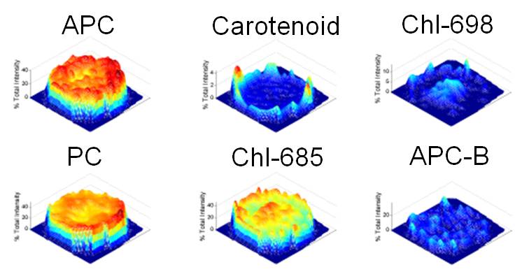 Pure components of photosynthetic pigments identified using hyperspectral imaging