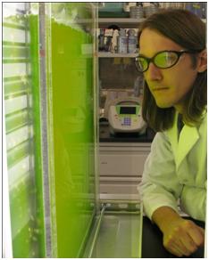 Photo of Aaron Collins